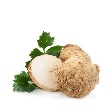 The Best Seler The Best Seler